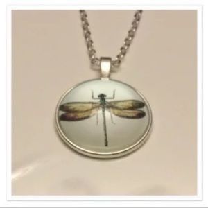 Beautiful Amber Dragonfly Set of Three